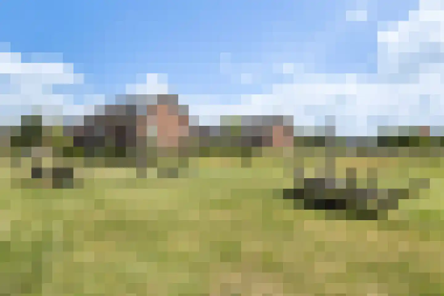 Ritseling 6 Maassluis thumbnail 45
