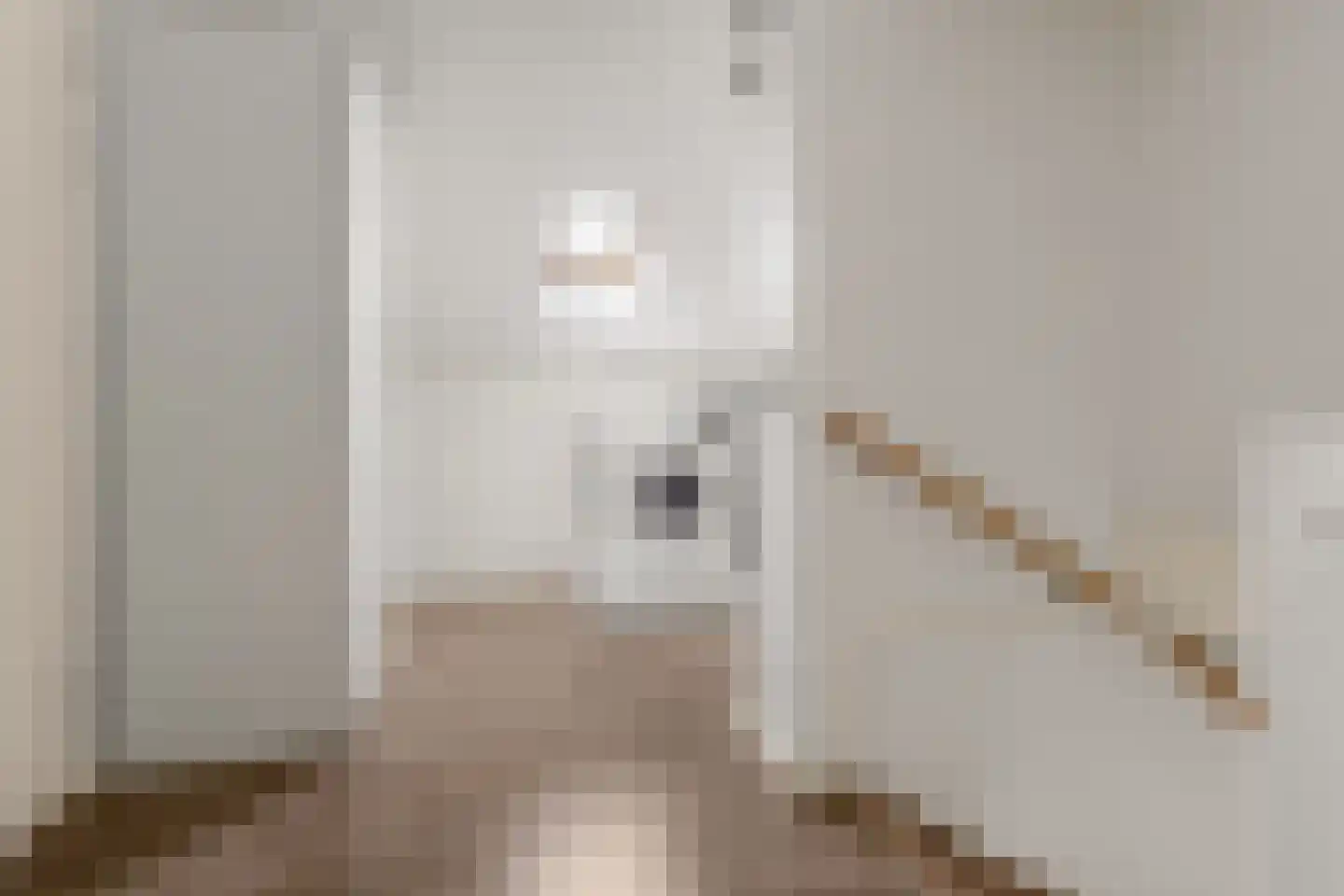 Ritsemalaan 26 Nieuwegein thumbnail 27