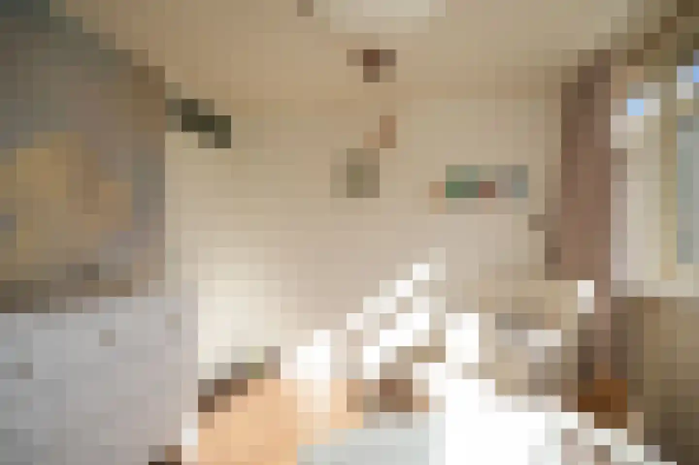 Ritsemalaan 32 Nieuwegein thumbnail 27