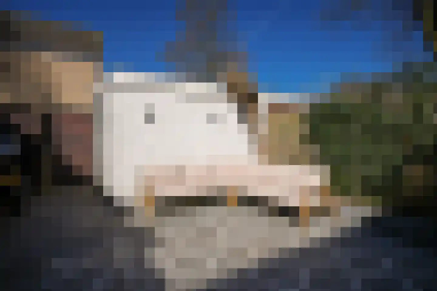 Ritsemalaan 32 Nieuwegein thumbnail 37