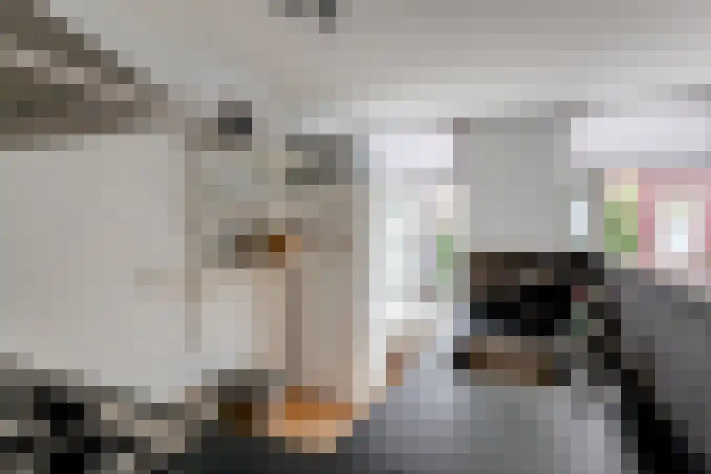 Ritsevoort 14 A Alkmaar thumbnail 15