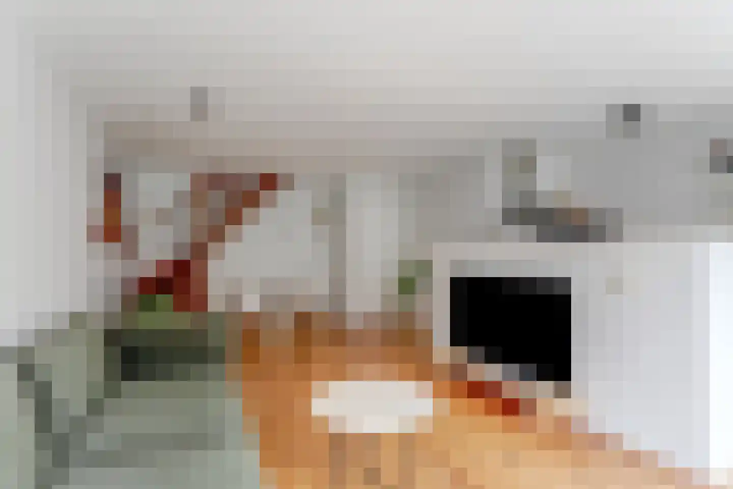 Ritsevoort 14 A Alkmaar thumbnail 16