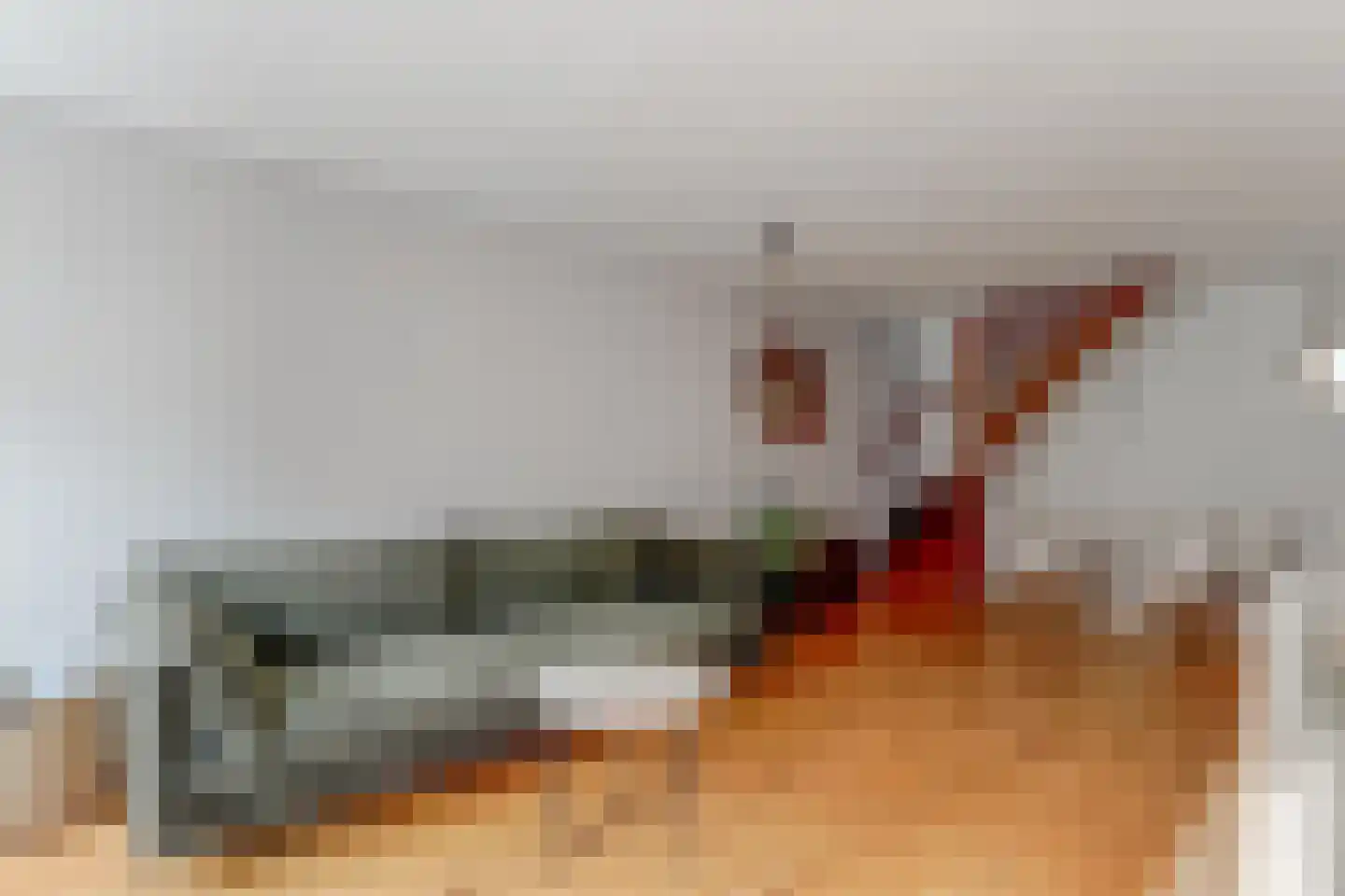 Ritsevoort 14 A Alkmaar thumbnail 17