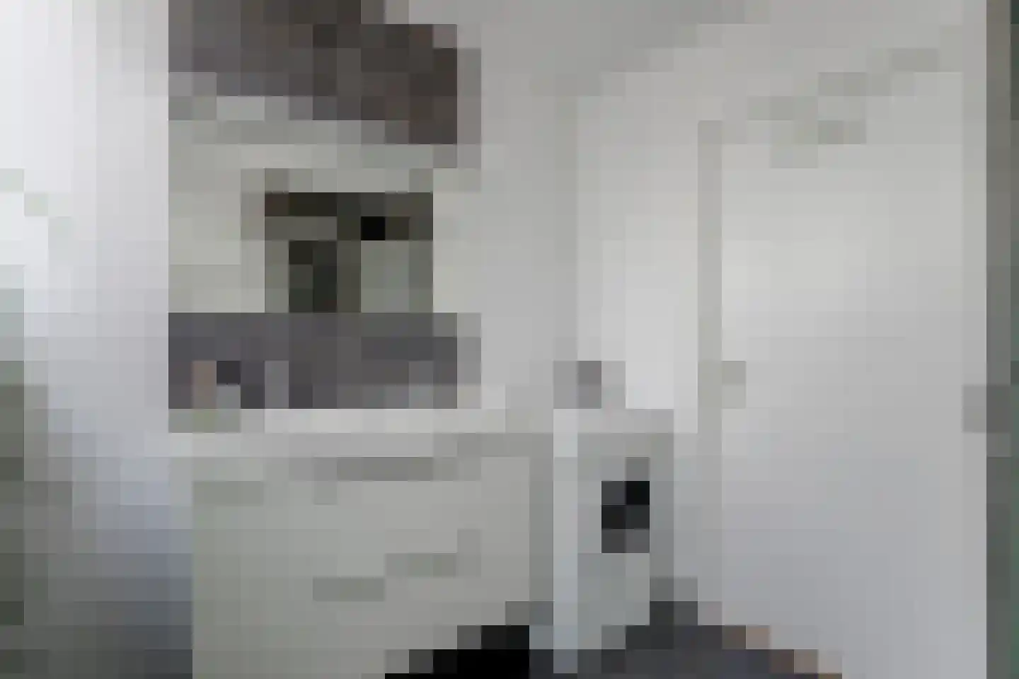 Ritsevoort 14 A Alkmaar thumbnail 22