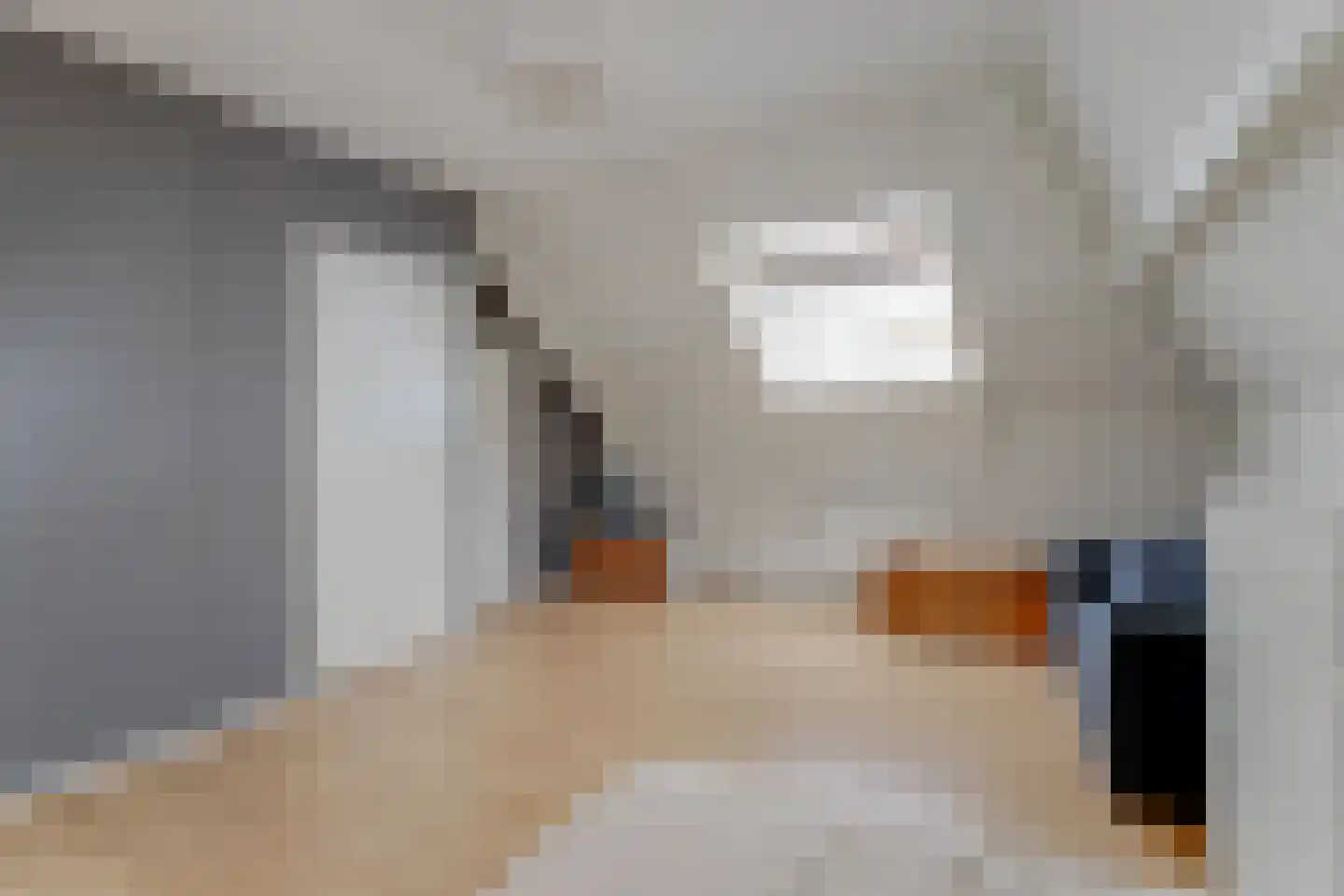 Ritsevoort 14 A Alkmaar thumbnail 29