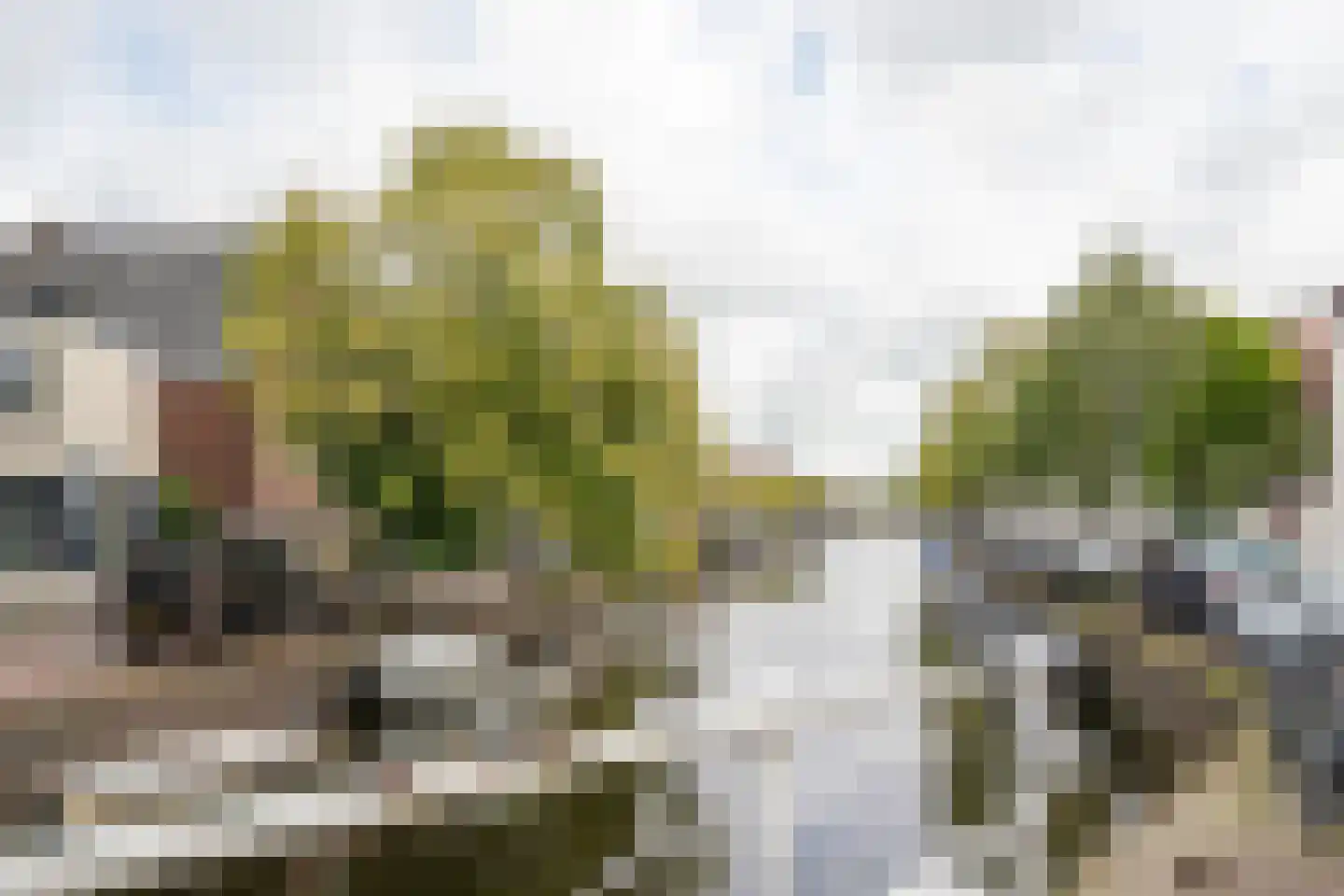 Ritsevoort 14 A Alkmaar thumbnail 38