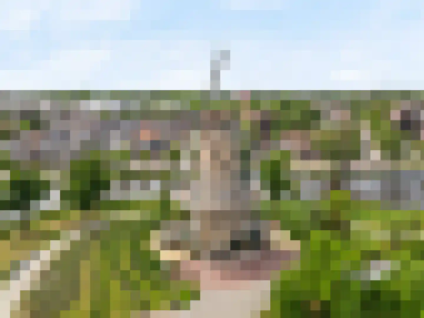 Ritsevoort 17 A Alkmaar thumbnail 31