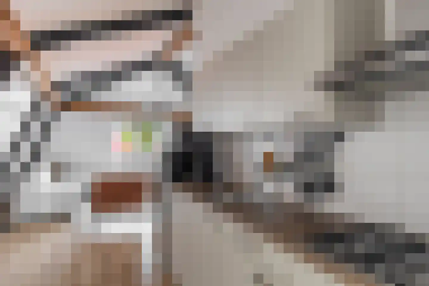 Ritsevoort 17 B Alkmaar thumbnail 15