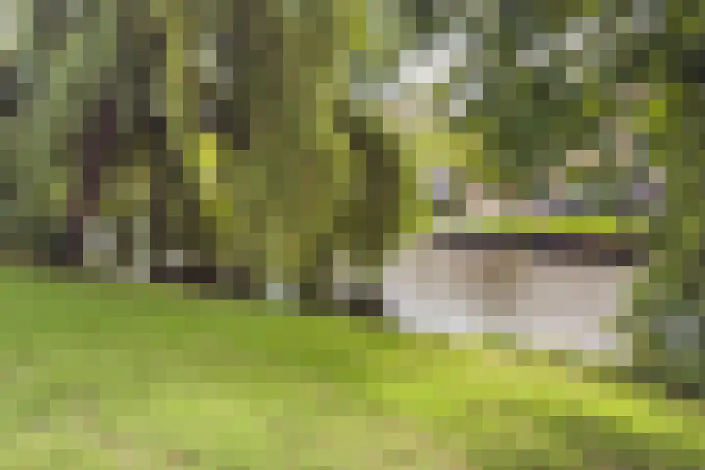 Ritsevoort 17 B Alkmaar thumbnail 31