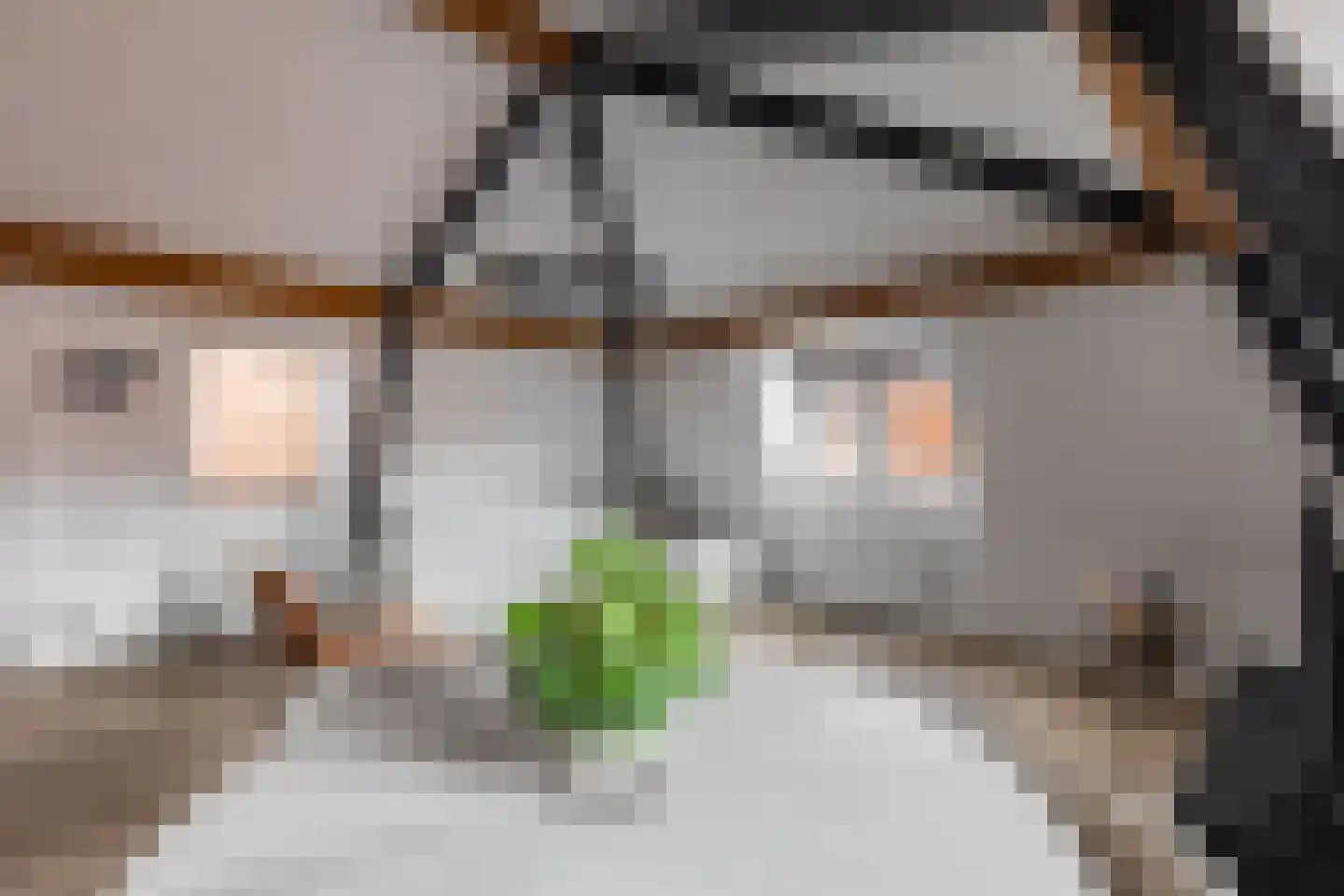 Ritsevoort 17 B Alkmaar thumbnail 7