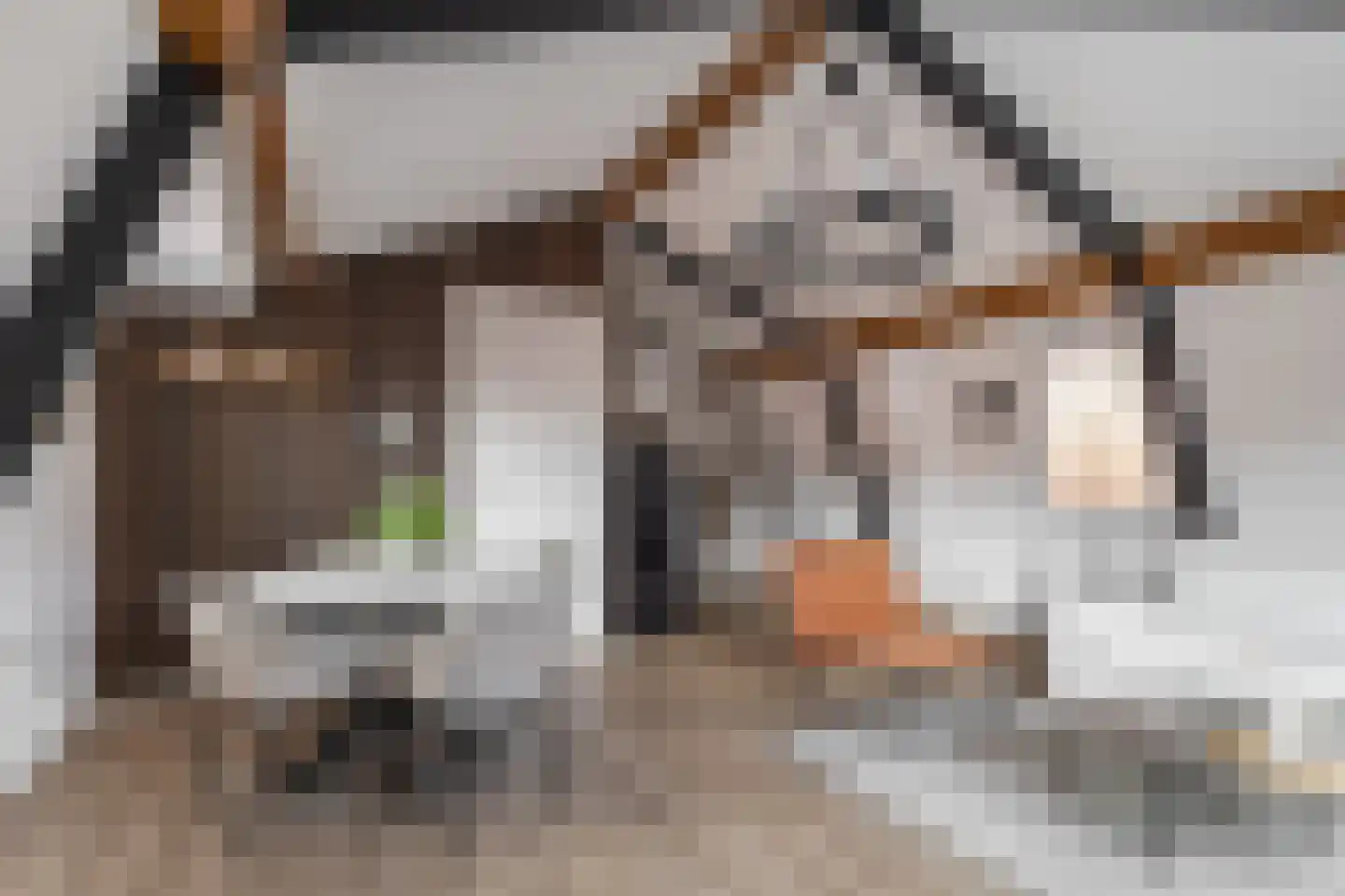 Ritsevoort 17 B Alkmaar thumbnail 8
