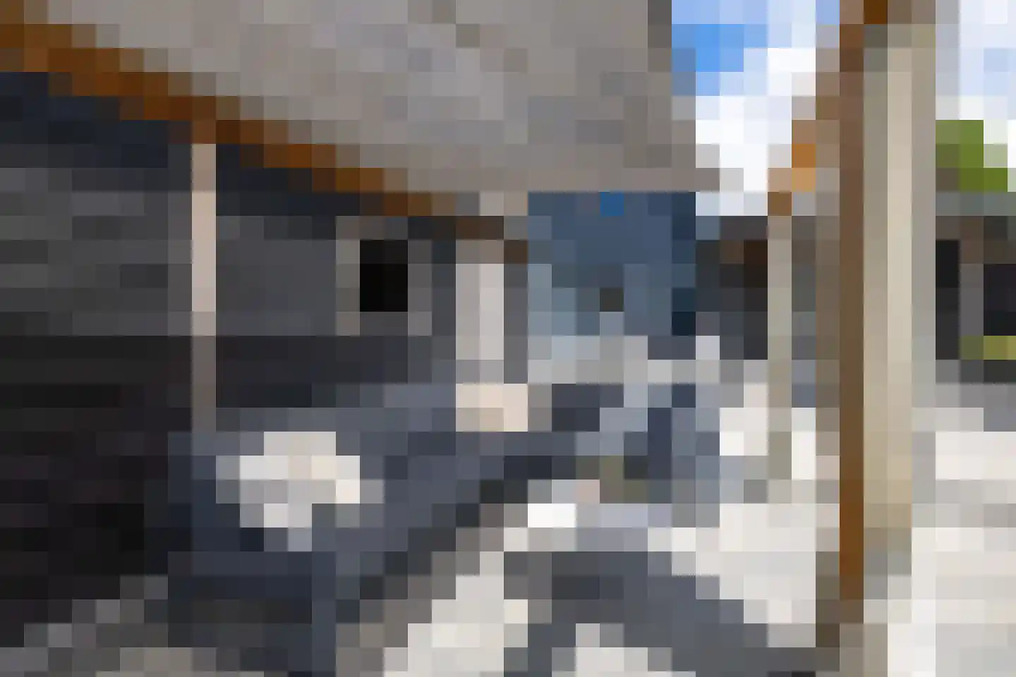 Ritsumasyl 26 Marsum thumbnail 28