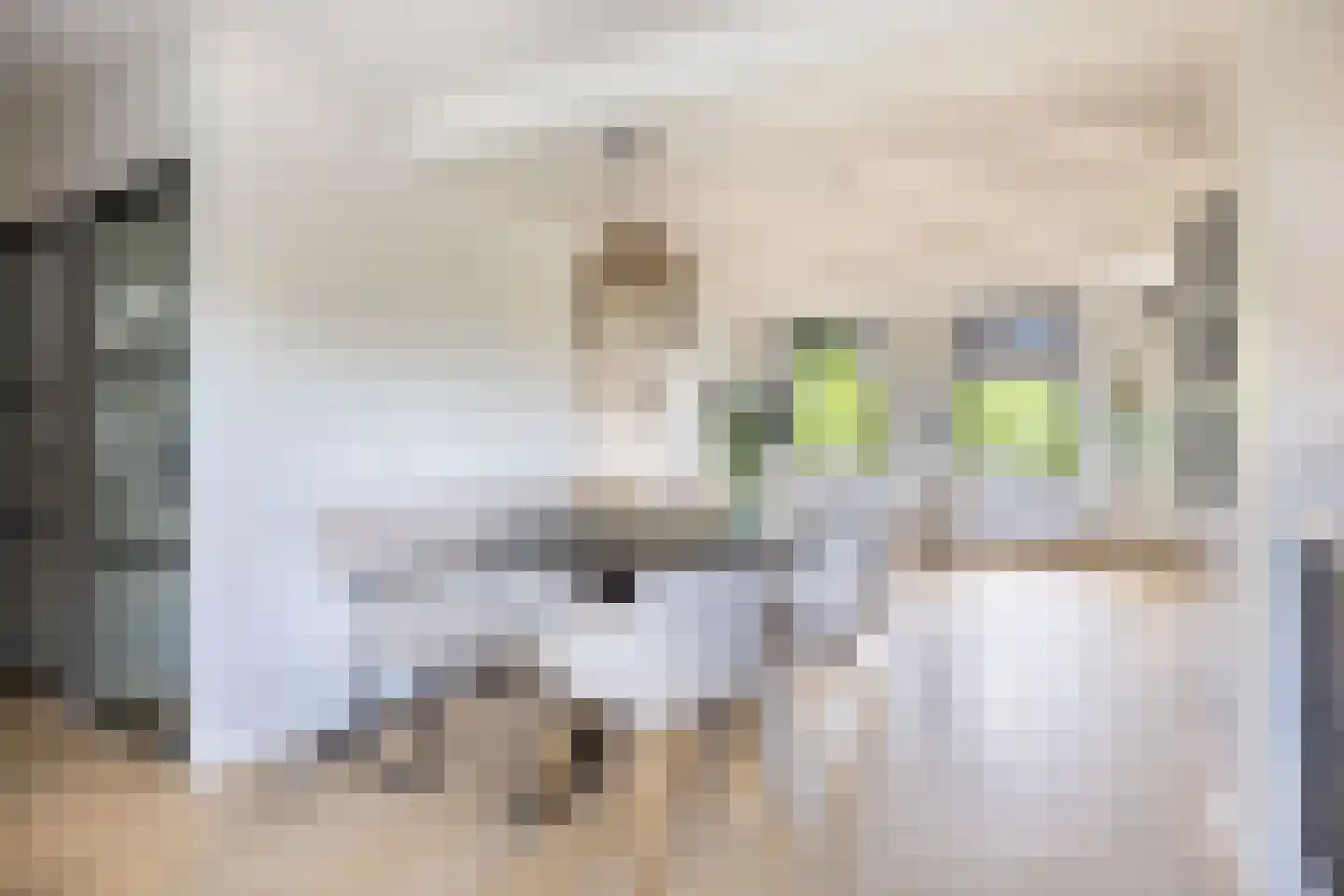 Ritsumasyl 26 Marsum thumbnail 43
