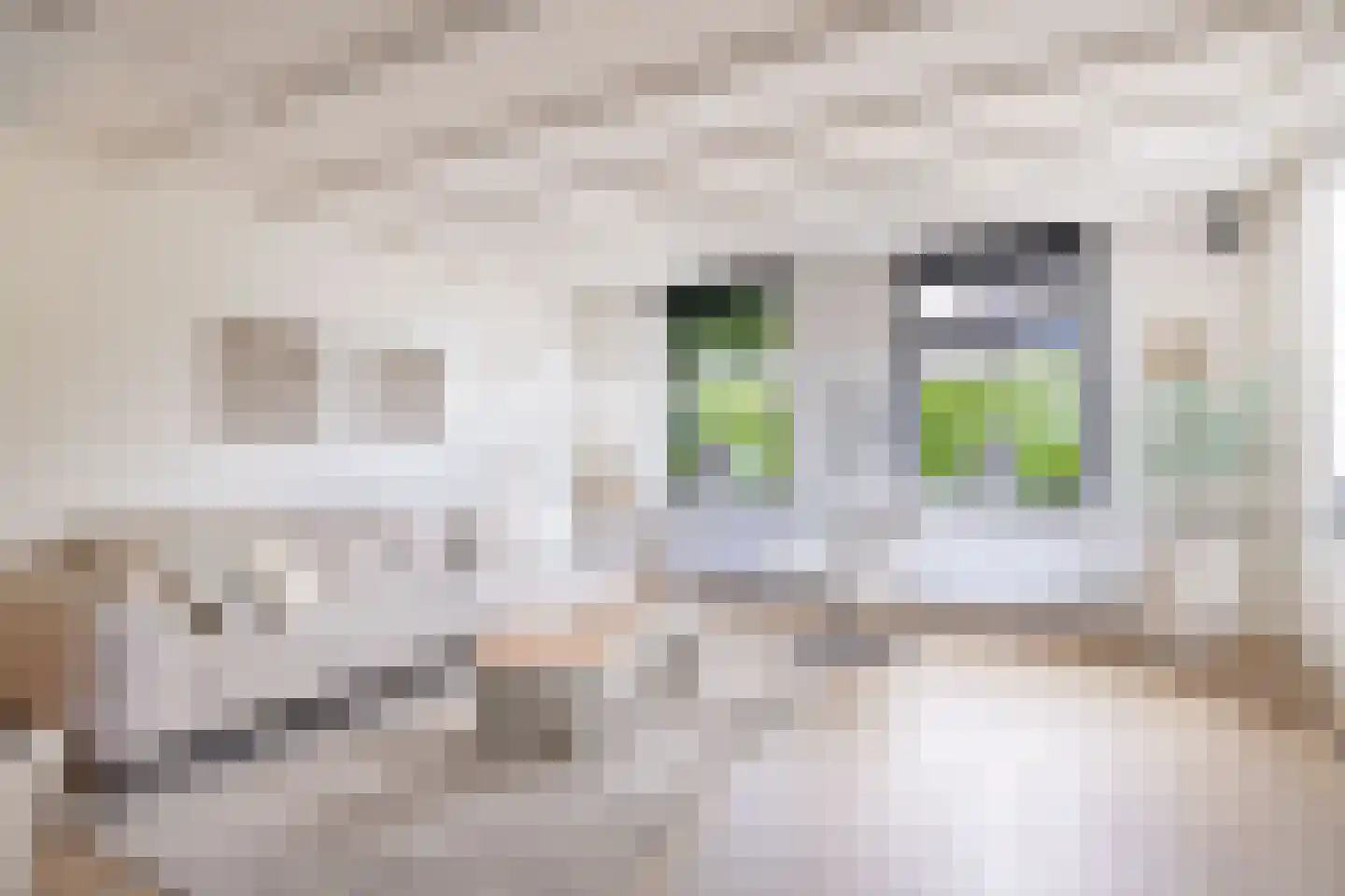 Ritsumasyl 26 Marsum thumbnail 44