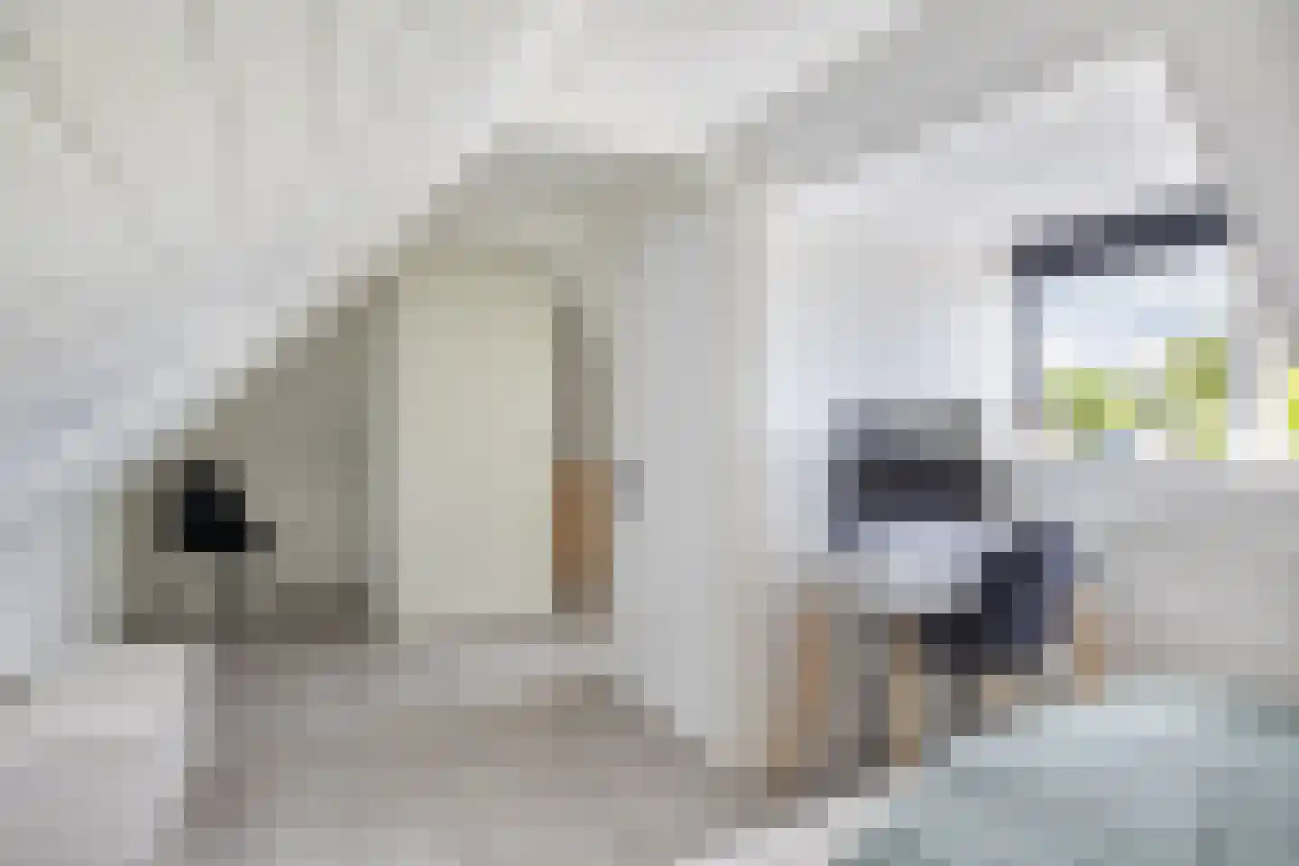 Ritsumasyl 26 Marsum thumbnail 62