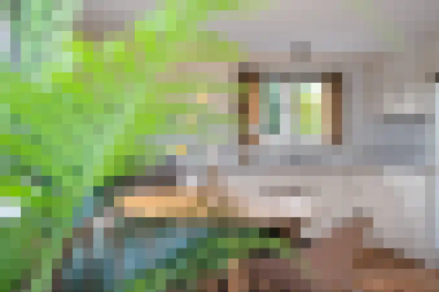 Ritsumasyl 28 Marsum thumbnail 24