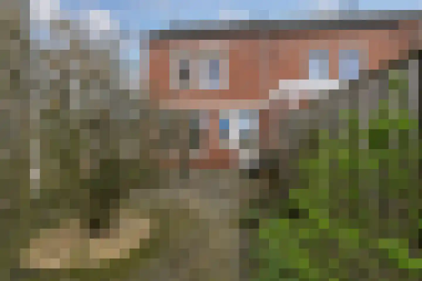 Ritthemsestraat 103 Oost-Souburg thumbnail 27