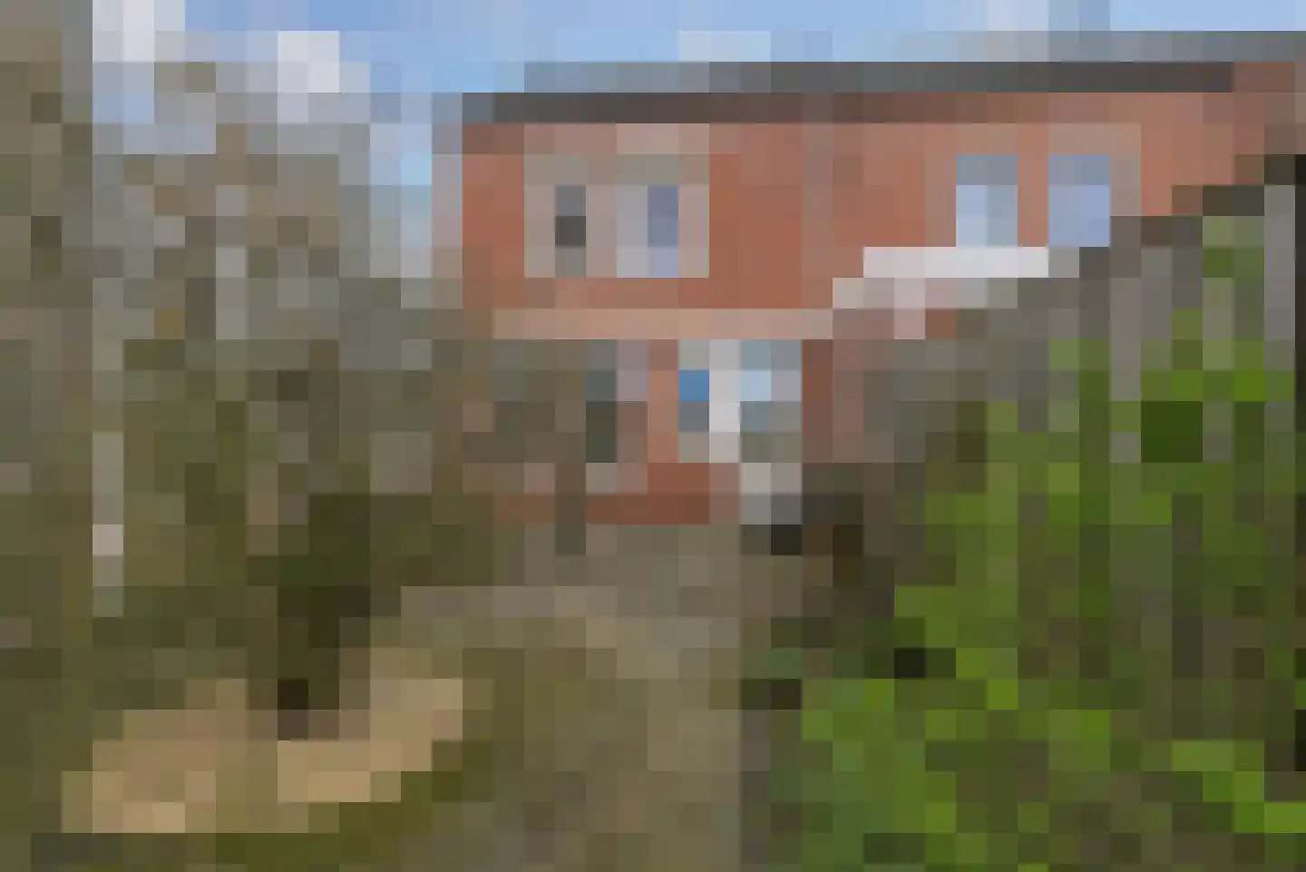 Ritthemsestraat 103 Oost-Souburg thumbnail 27
