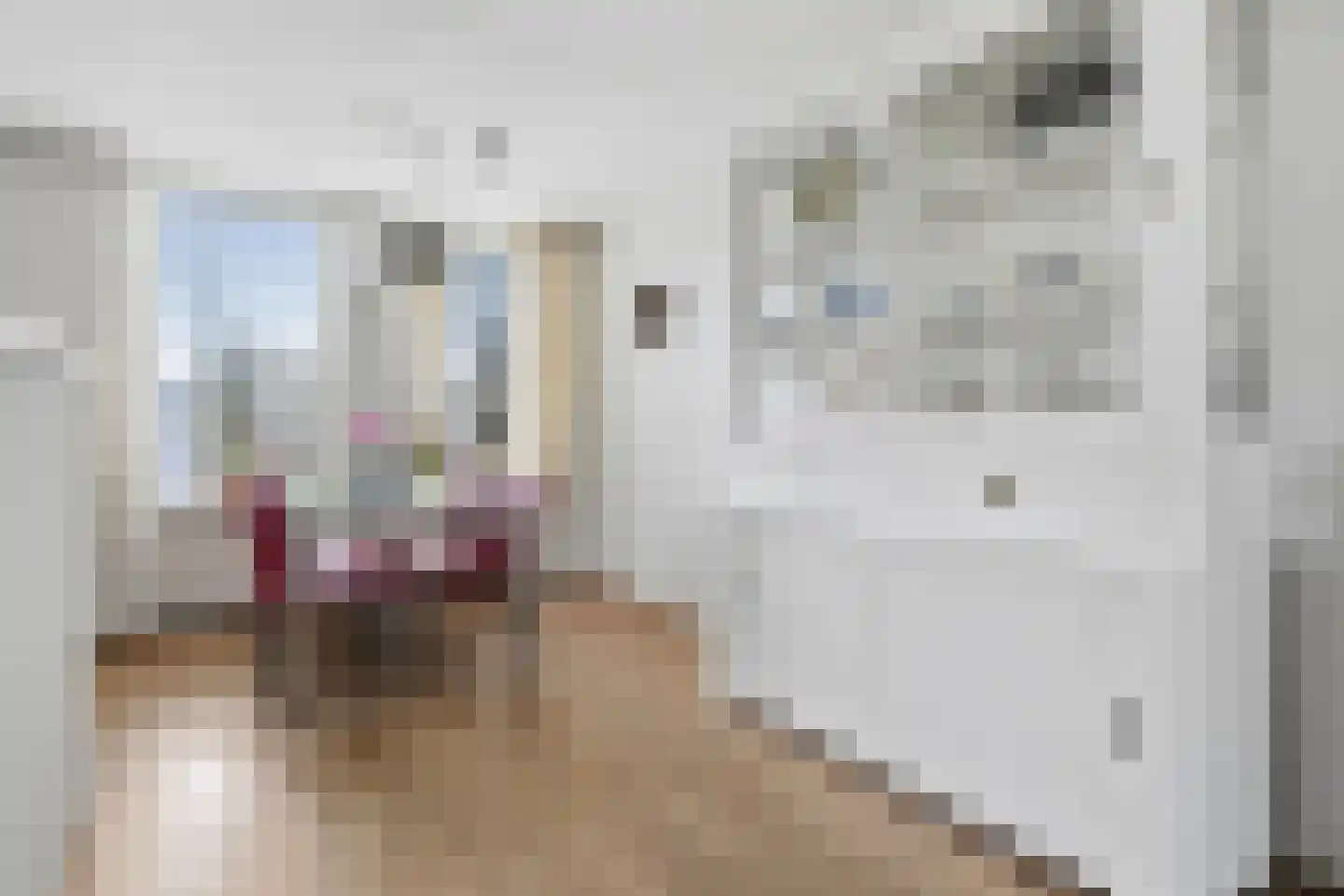 Ritthemsestraat 103 Oost-Souburg thumbnail 6