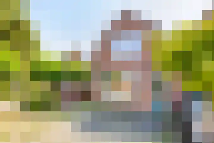 Ritthemsestraat 5 Oost-Souburg thumbnail 5