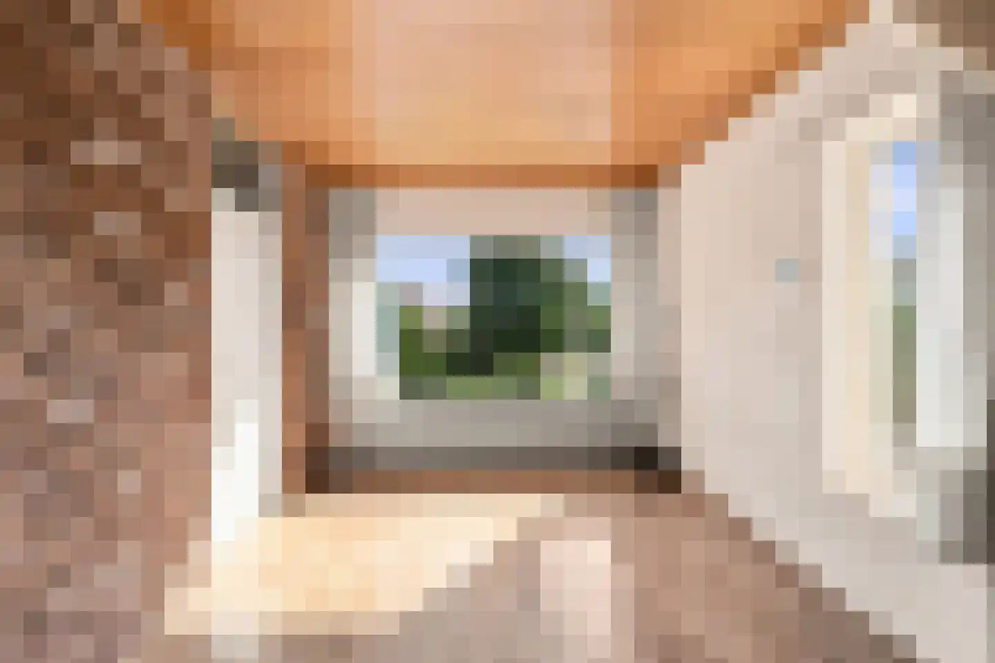 Ritthemsestraat 54 Oost-Souburg thumbnail 14
