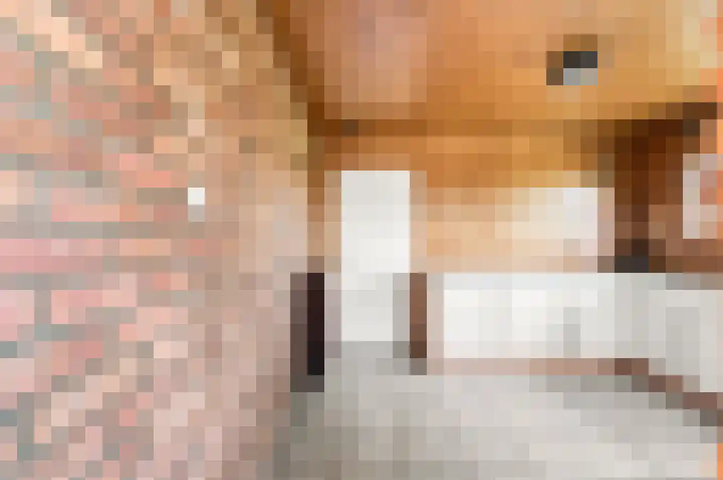 Ritthemsestraat 54 Oost-Souburg thumbnail 17