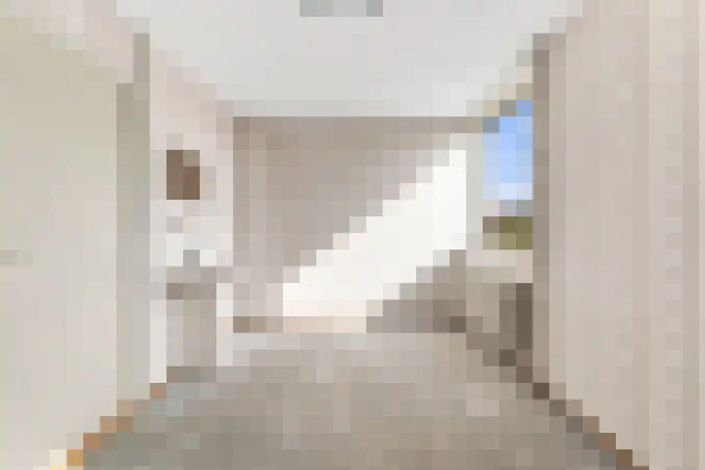 Ritthemsestraat 54 Oost-Souburg thumbnail 7