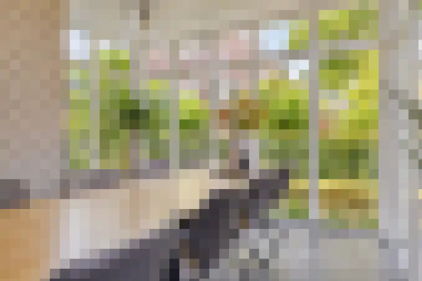 Ritzema Bosweg 21 Wageningen thumbnail 37