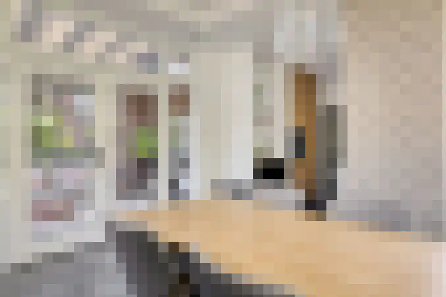 Ritzema Bosweg 21 Wageningen thumbnail 41
