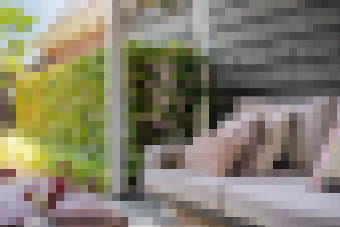 Ritzema Bosweg 21 Wageningen thumbnail 45
