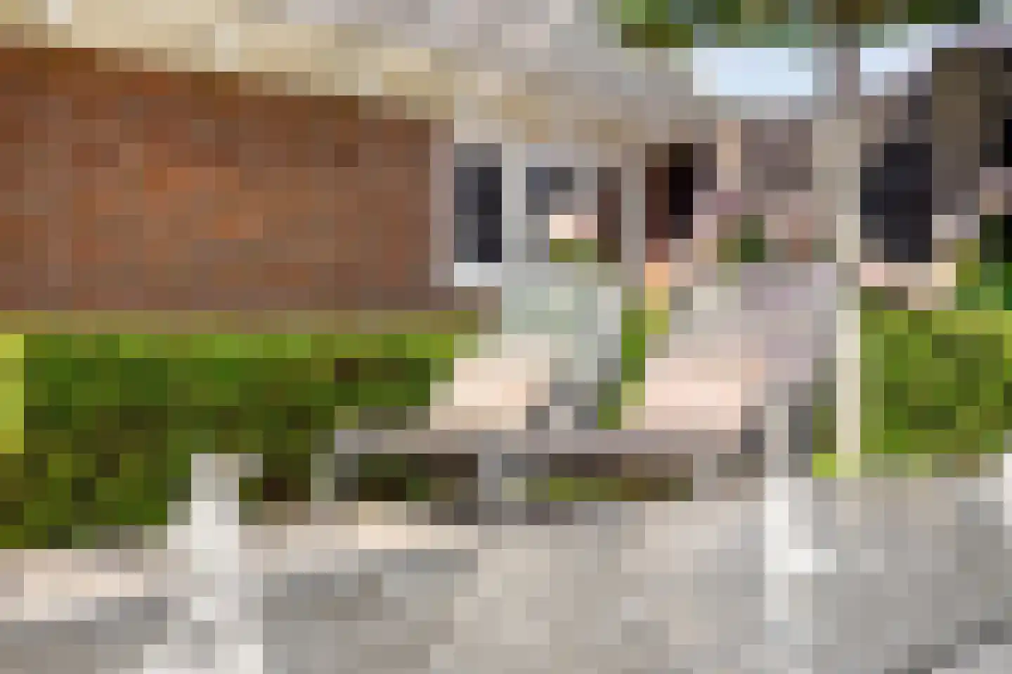 Ritzema Bosweg 21 Wageningen thumbnail 50