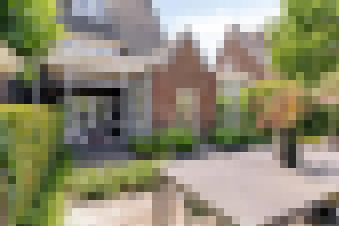Ritzema Bosweg 21 Wageningen thumbnail 52