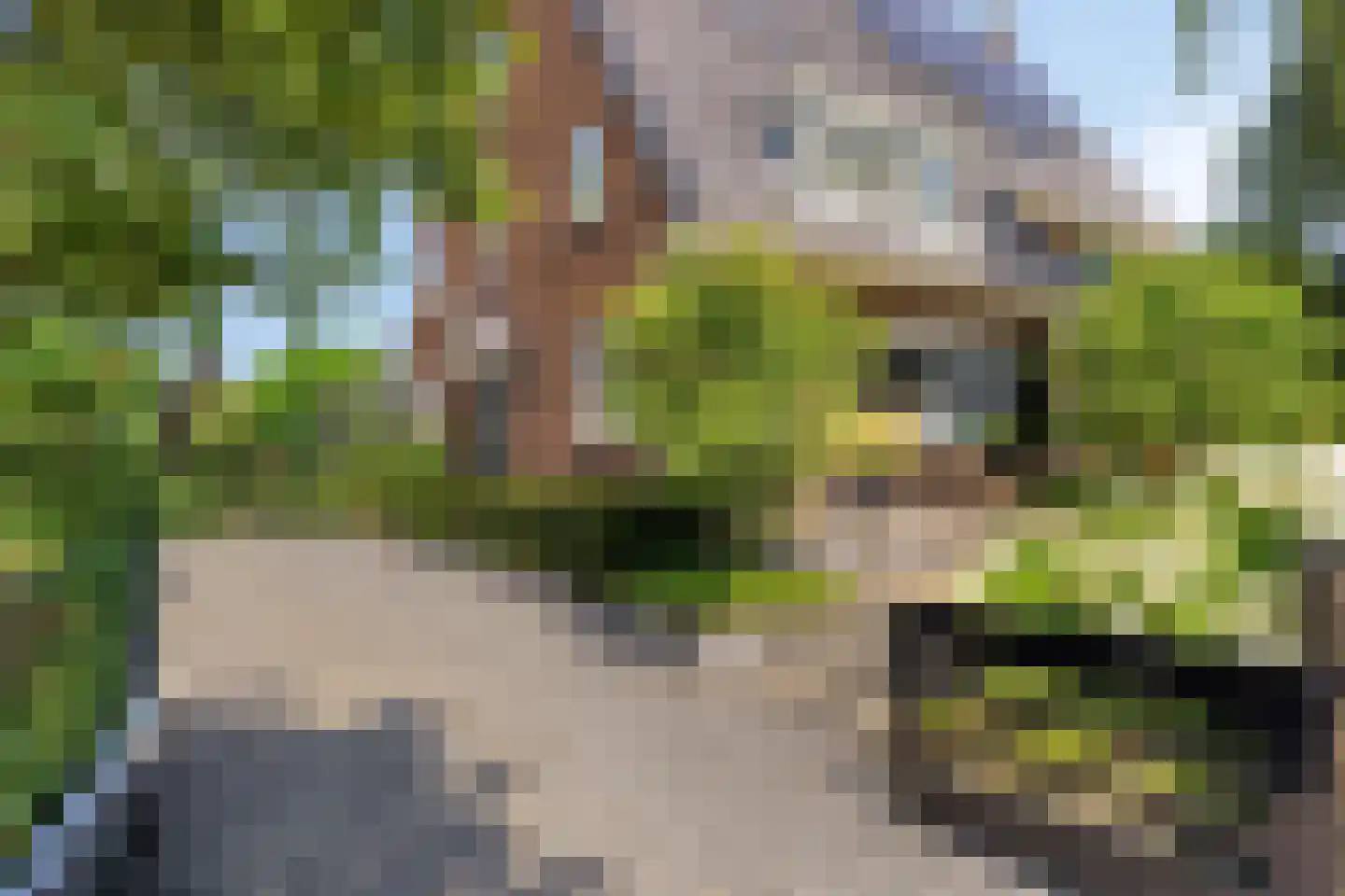 Ritzema Bosweg 21 Wageningen thumbnail 7