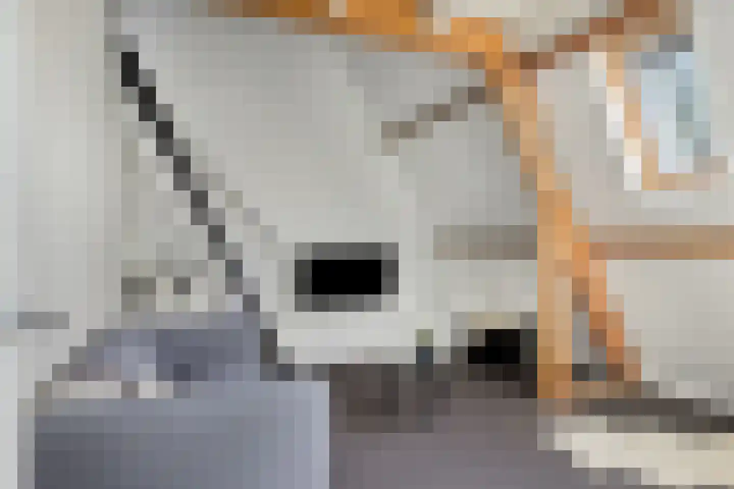 Ritzema Bosweg 21 Wageningen thumbnail 71