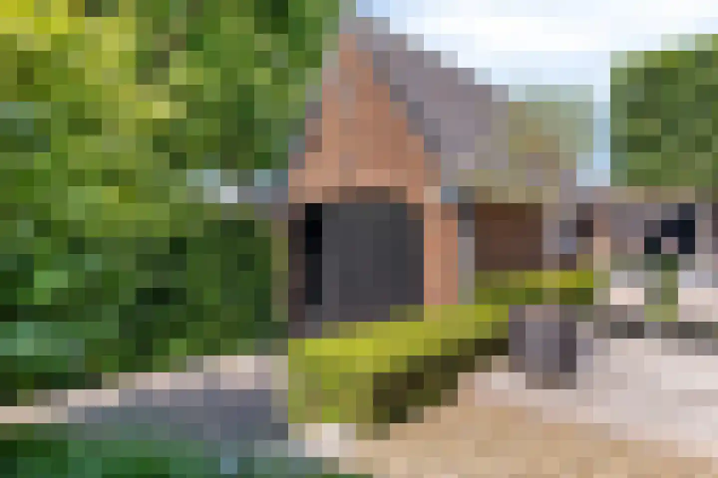 Ritzema Bosweg 21 Wageningen thumbnail 79
