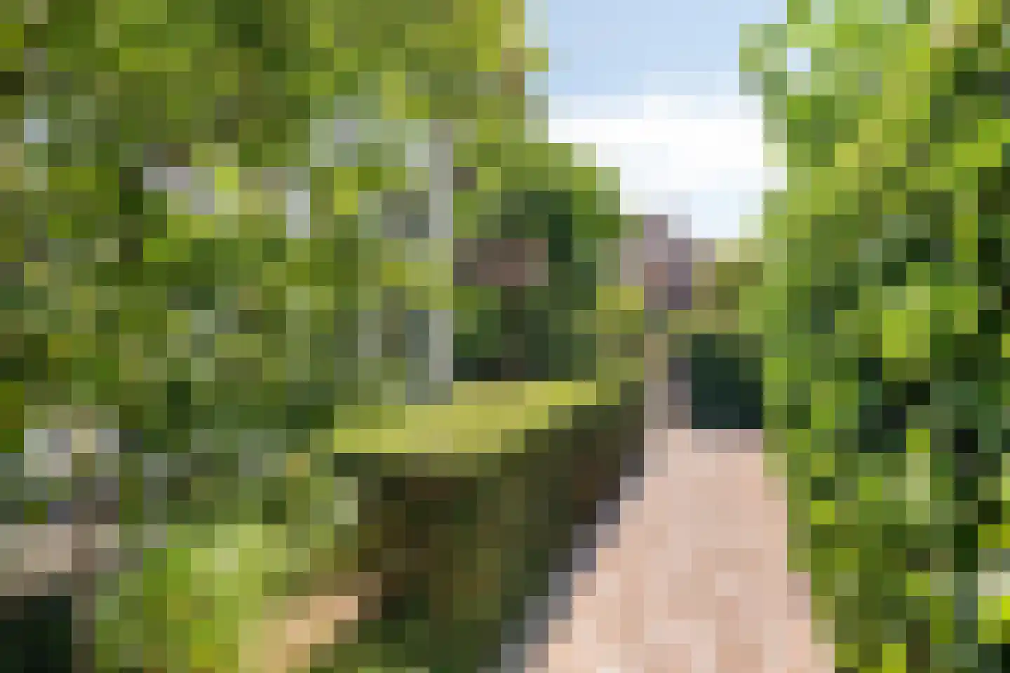 Ritzema Bosweg 21 Wageningen thumbnail 80