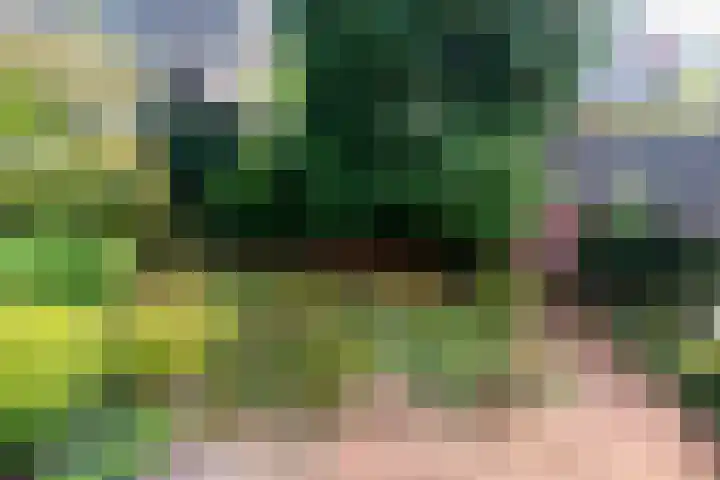 Ritzema Bosweg 22 Wageningen thumbnail 22