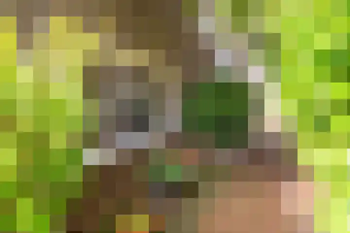 Ritzema Bosweg 22 Wageningen thumbnail 33