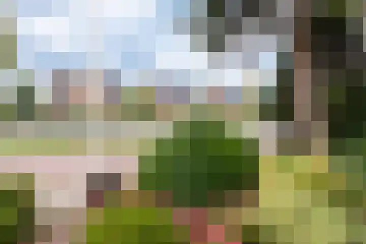 Ritzema Bosweg 22 Wageningen thumbnail 34