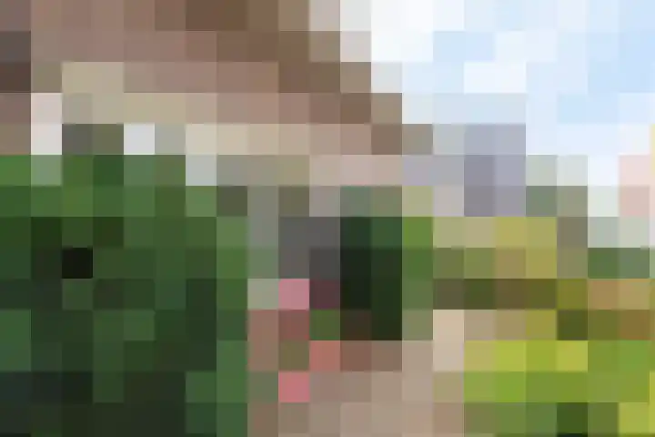 Ritzema Bosweg 22 Wageningen thumbnail 37