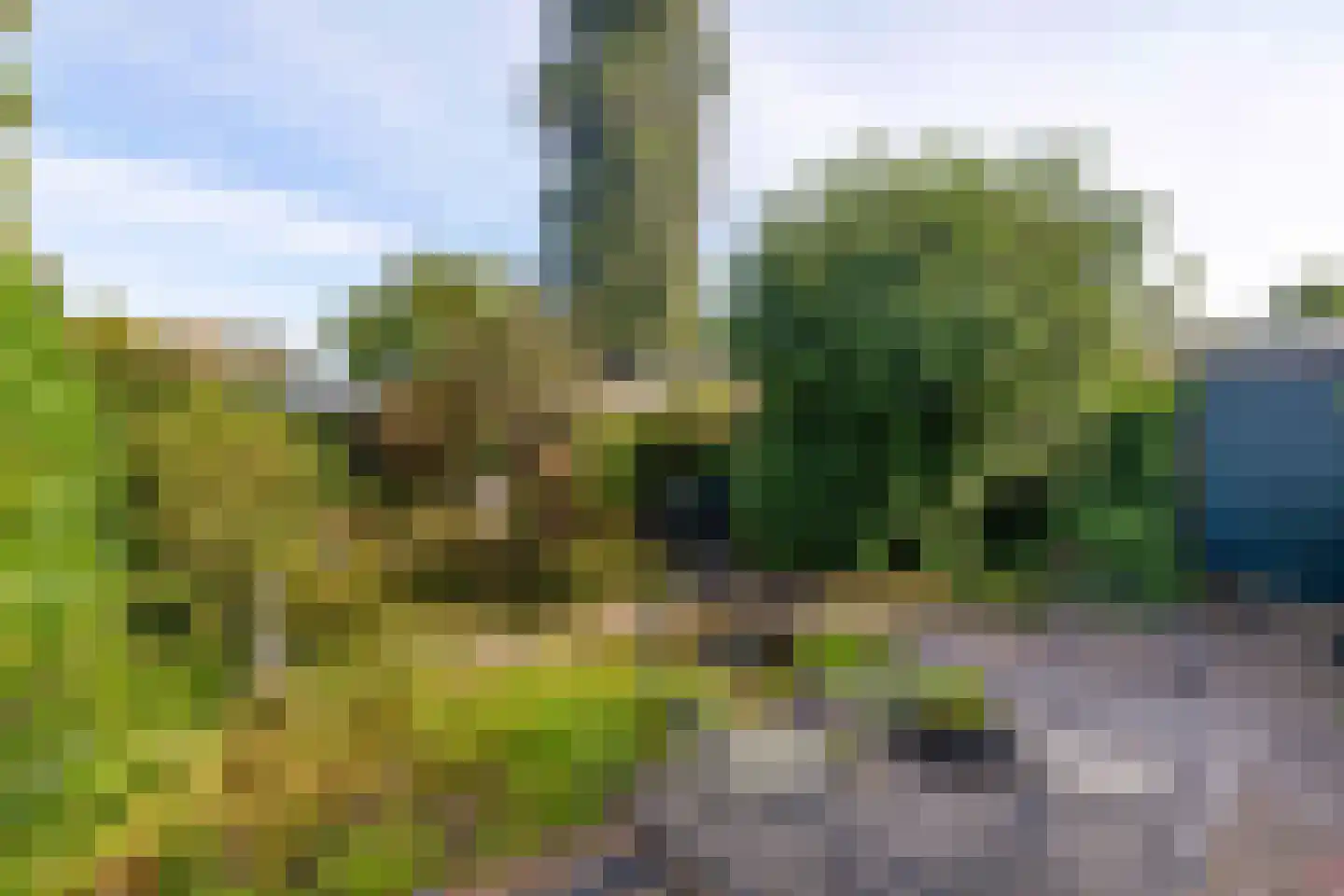 Ritzema Bosweg 63 Wageningen thumbnail 42