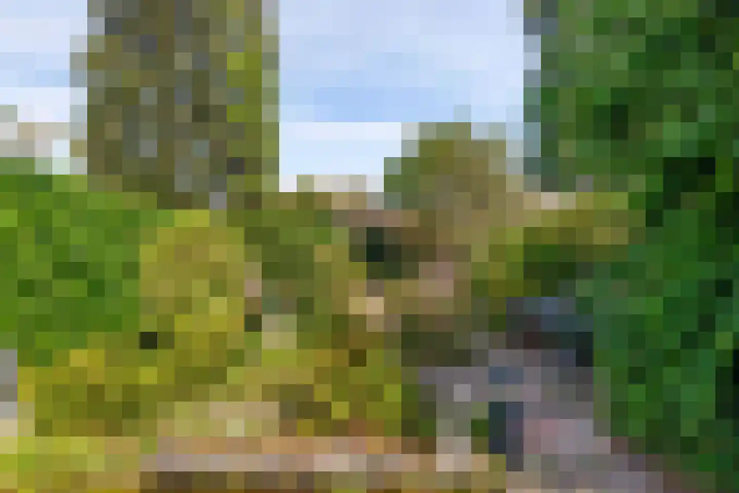 Ritzema Bosweg 63 Wageningen thumbnail 43