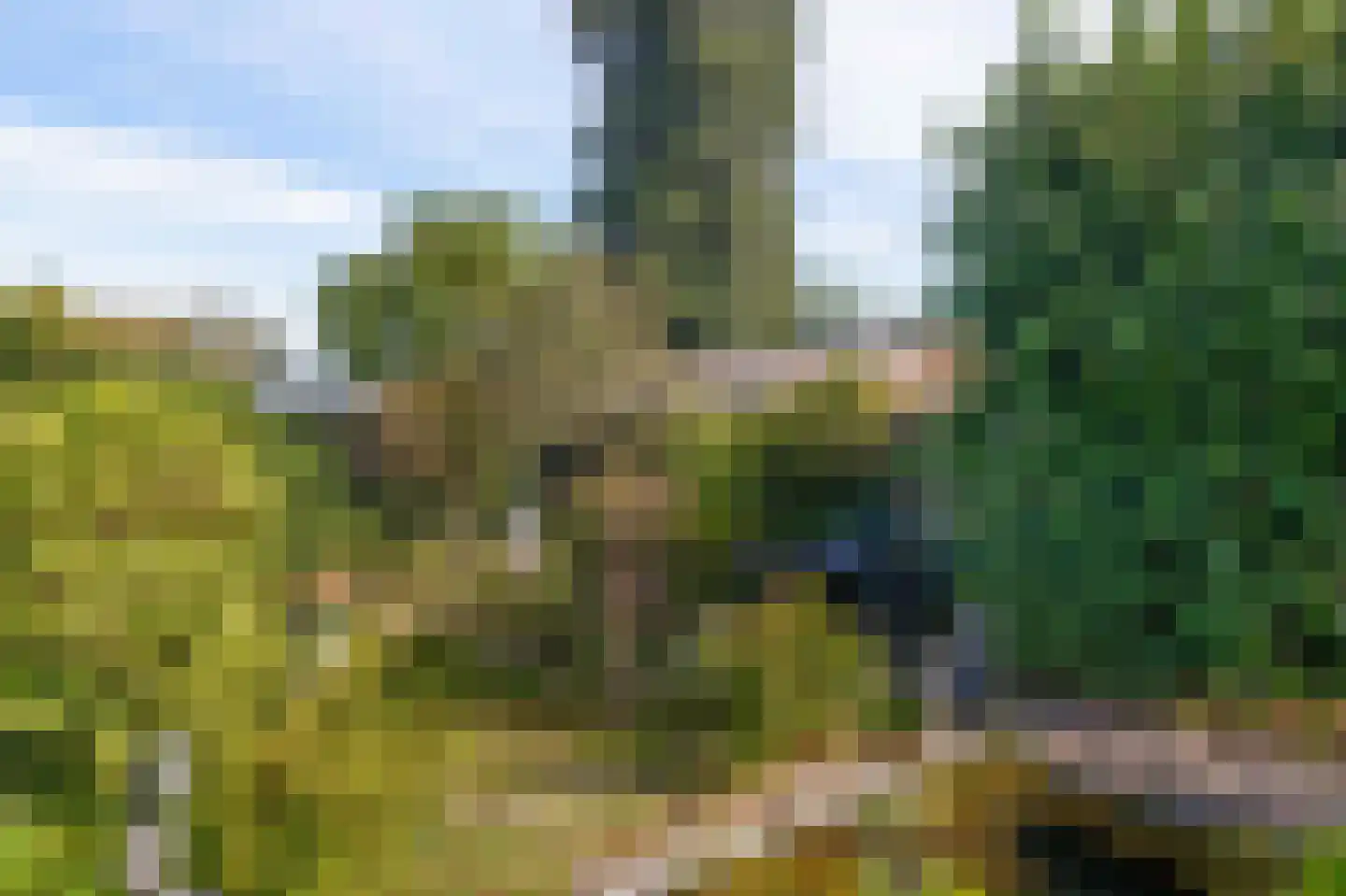 Ritzema Bosweg 63 Wageningen thumbnail 44