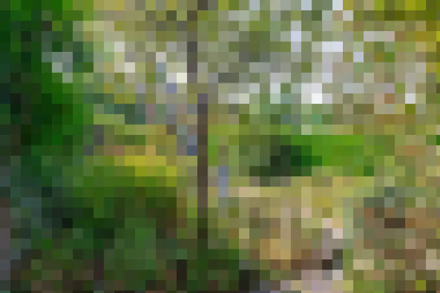 Ritzema Bosweg 63 Wageningen thumbnail 46