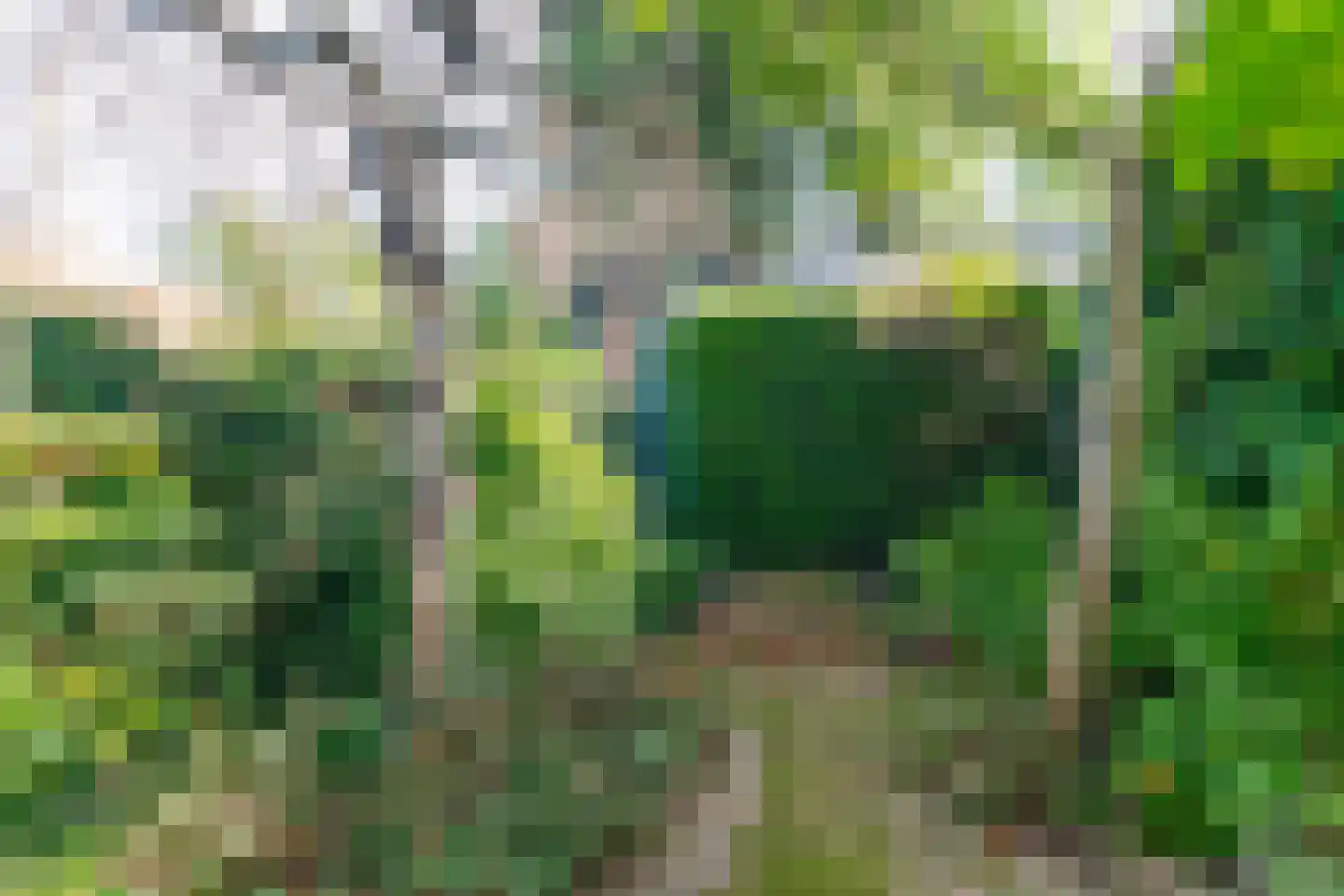 Ritzema Bosweg 63 Wageningen thumbnail 47