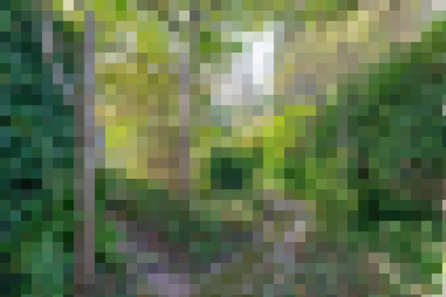 Ritzema Bosweg 63 Wageningen thumbnail 48