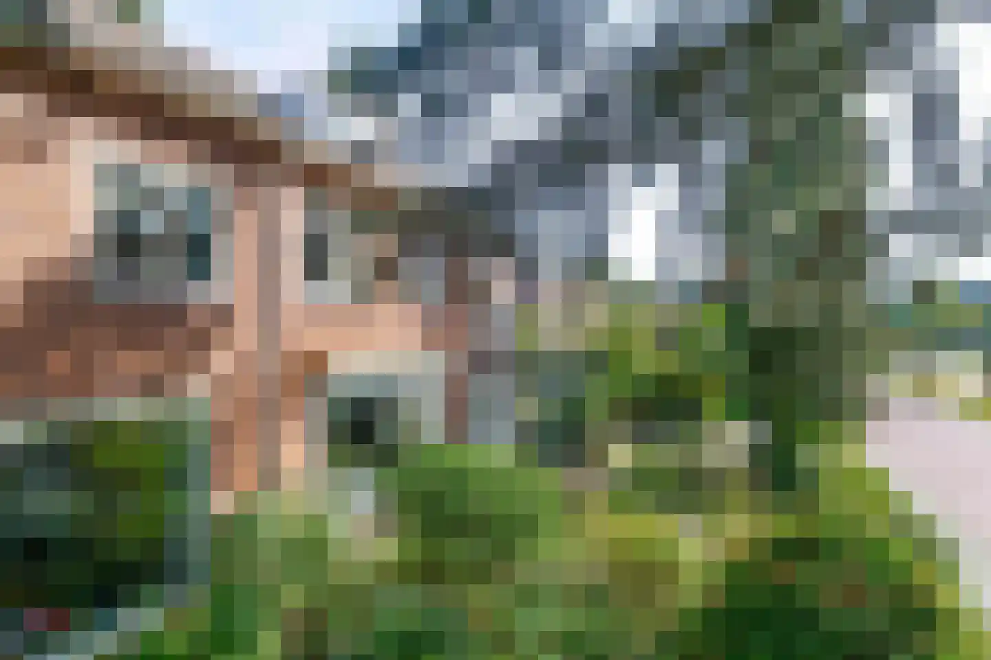 Ritzema Bosweg 63 Wageningen thumbnail 6