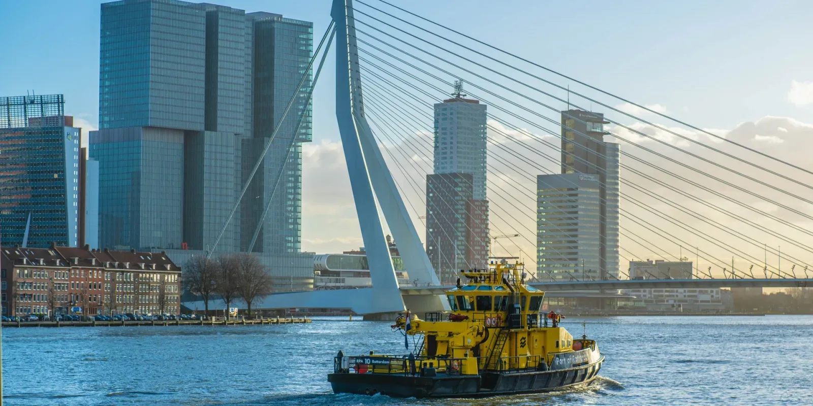 Photo d'équipe de Riva Rentals