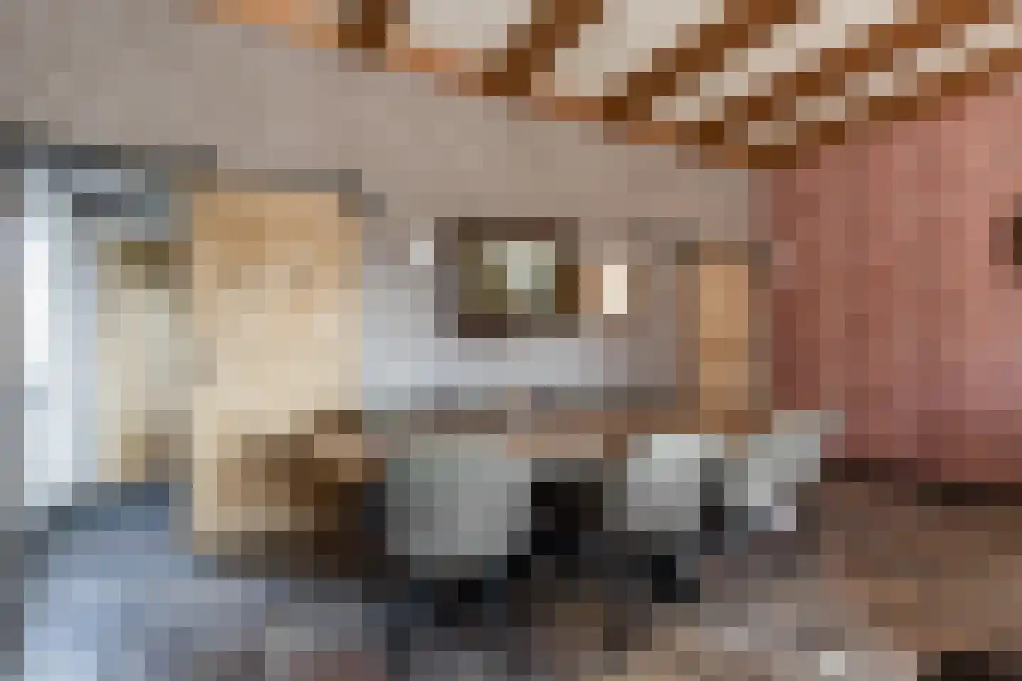 Rivelstraat 50 Wijk en Aalburg thumbnail 9