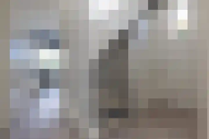 Rivièrahof 3 Nederhorst den Berg thumbnail 31